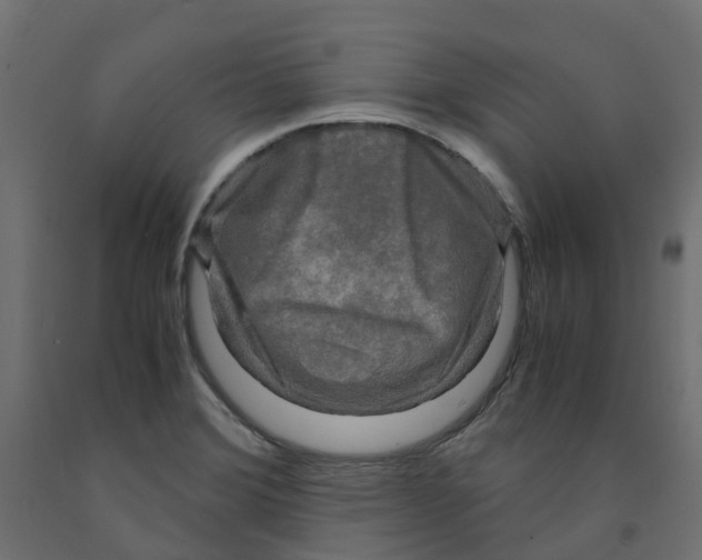 X0000091981372200710041101