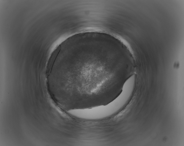 X0000091981373200710041101