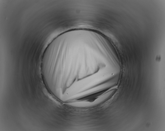 X0000091981374200710041101