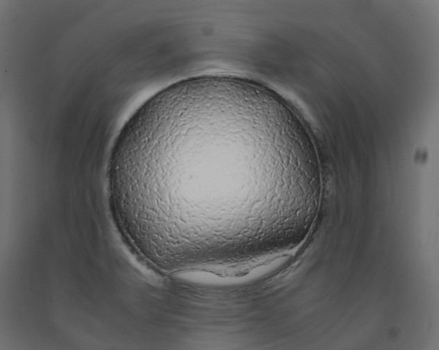 X0000091981375200710041101