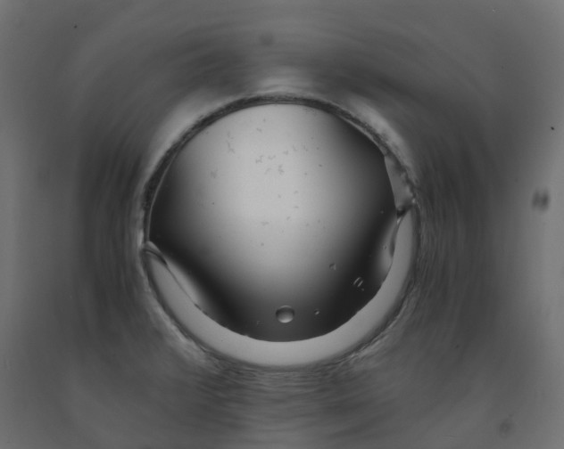 X0000091981376200710041101