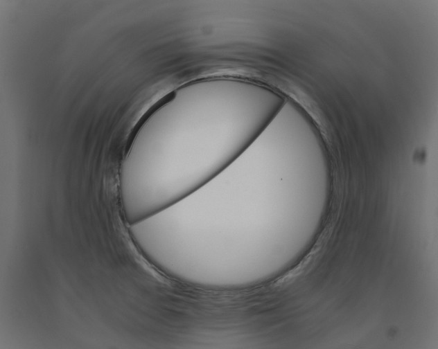 X0000091981377200710041101