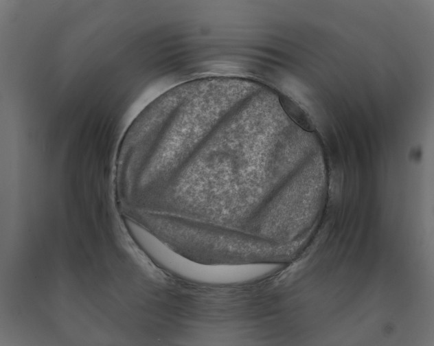 X0000091981378200710041101