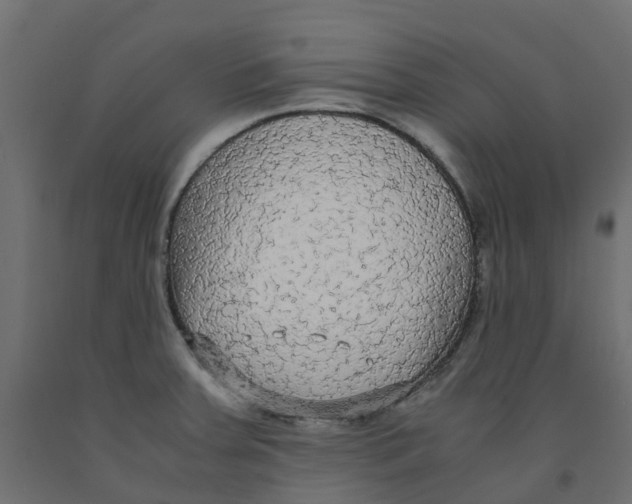 X0000091981379200710041101