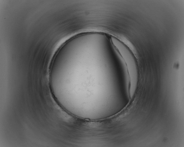 X0000091981380200710041101