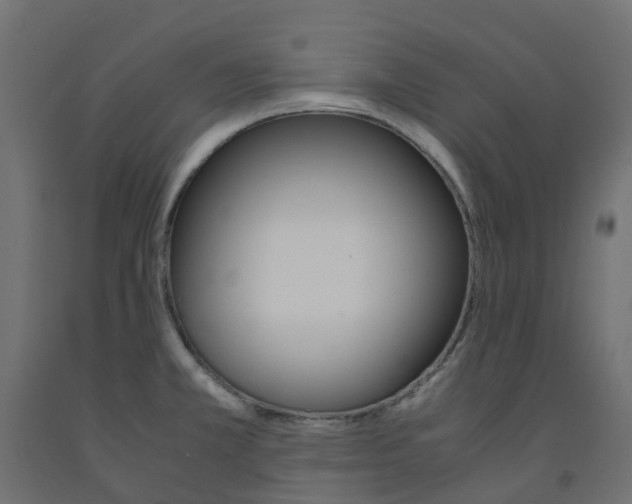 X0000091981381200710041101