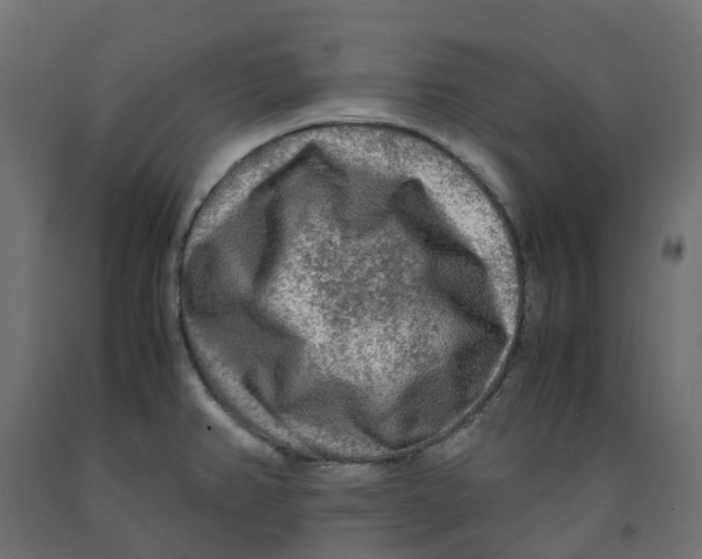 X0000091981382200710041101