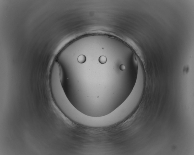 X0000091981384200710041101