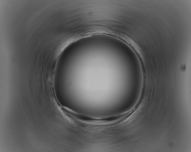 X0000091981385200710041101