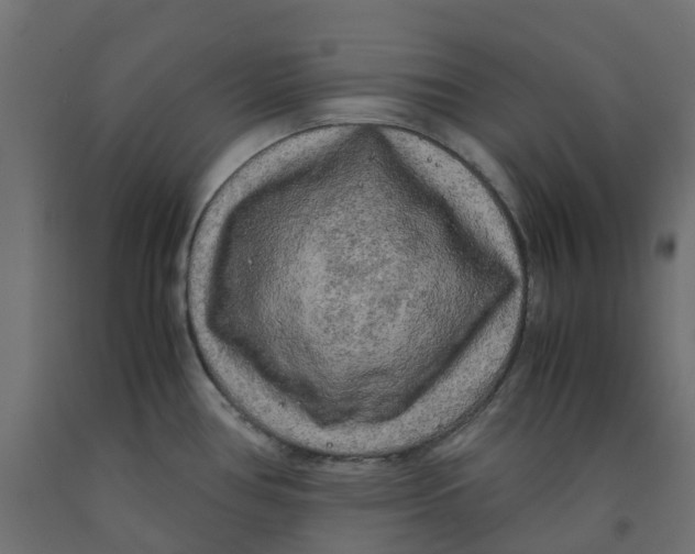 X0000091981386200710041101