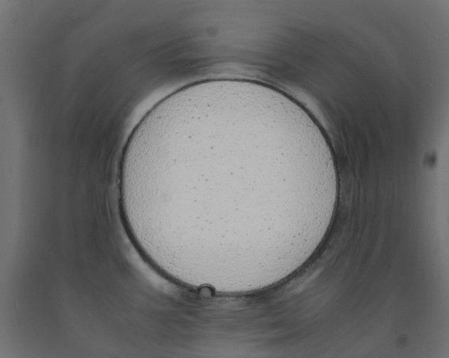 X0000091981387200710041101