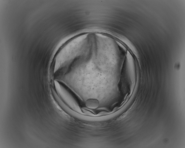 X0000091981388200710041101