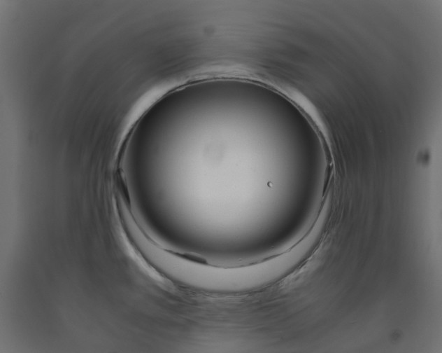 X0000091981389200710041101