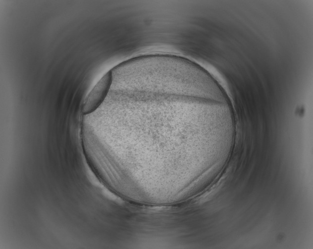 X0000091981390200710041101