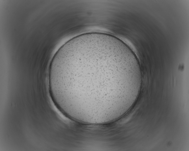 X0000091981391200710041101