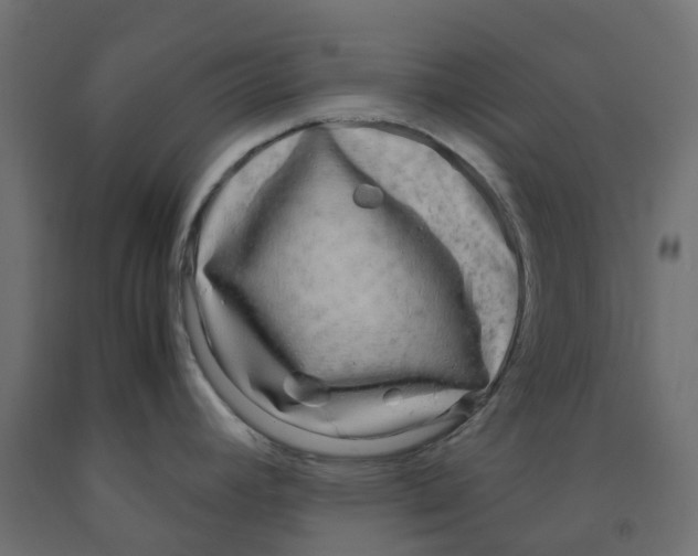 X0000091981392200710041101