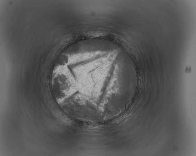 X0000091981393200710041100