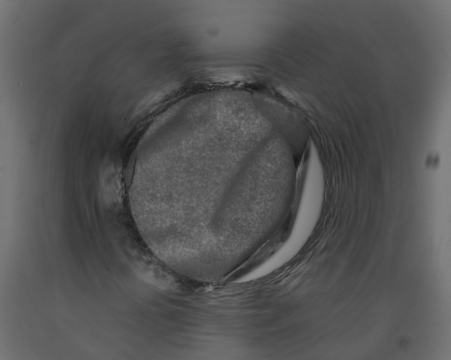 X0000091981394200710041100