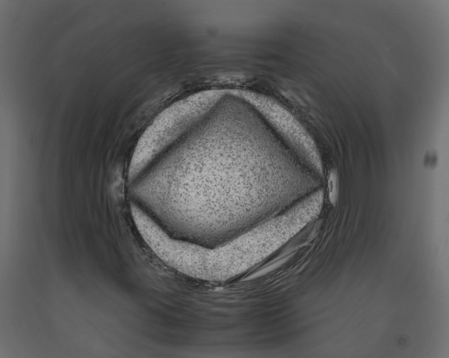 X0000091981395200710041100