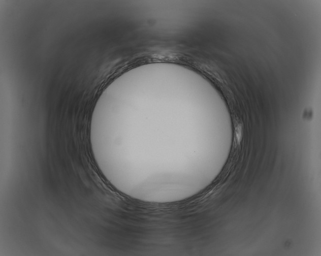 X0000091981396200710041100