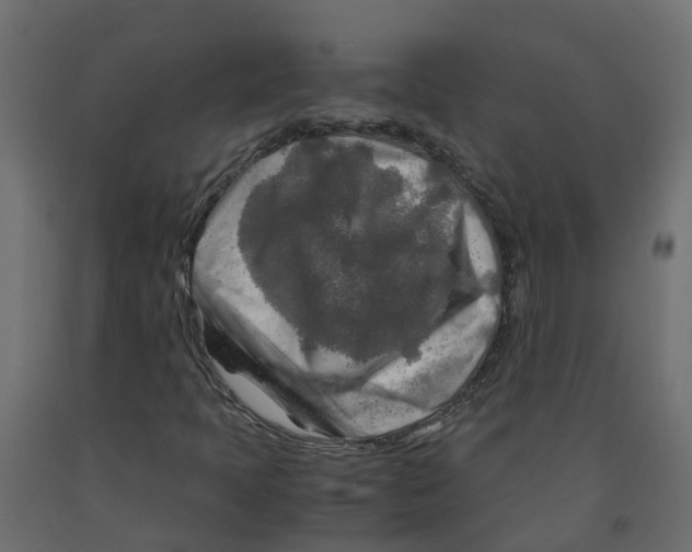 X0000091981397200710041100