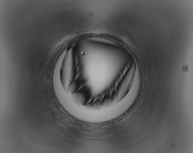X0000091981398200710041100