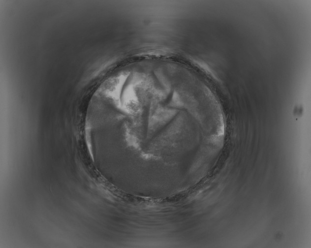 X0000091981399200710041100