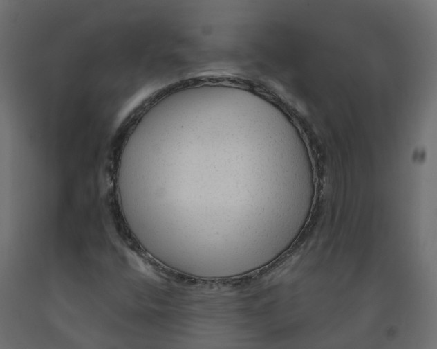 X0000091981400200710041100