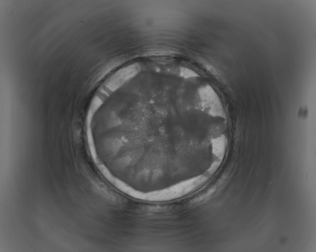 X0000091981401200710041100