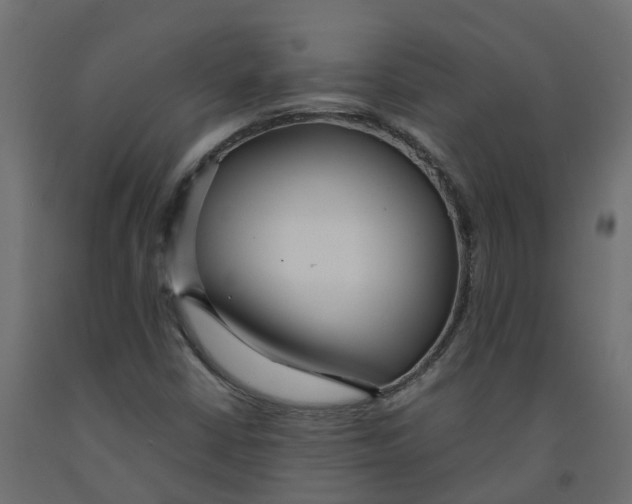 X0000091981402200710041100