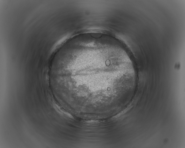 X0000091981403200710041100