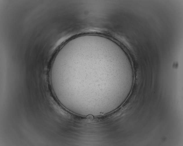X0000091981404200710041100