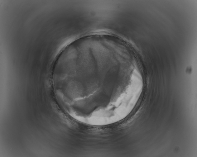 X0000091981405200710041100