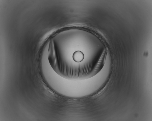 X0000091981406200710041100