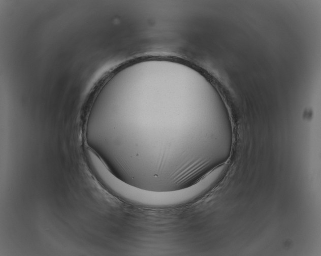 X0000091981408200710041100