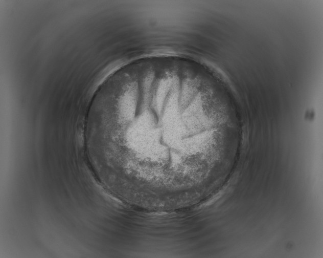 X0000091981409200710041100