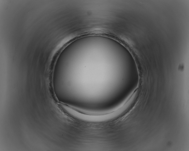 X0000091981410200710041100
