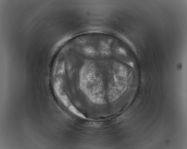 X0000091981411200710041100