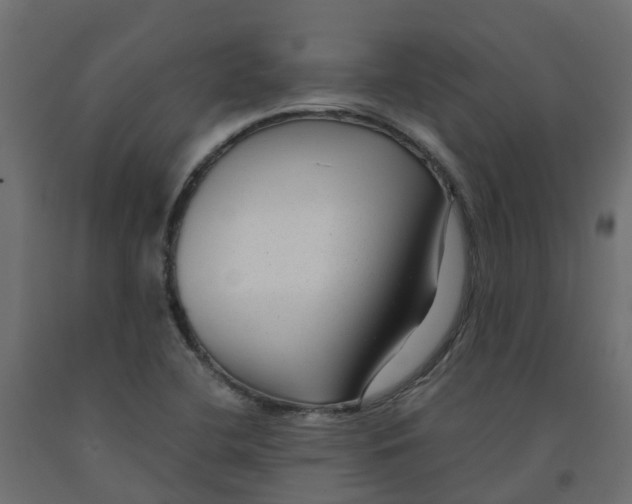 X0000091981412200710041100