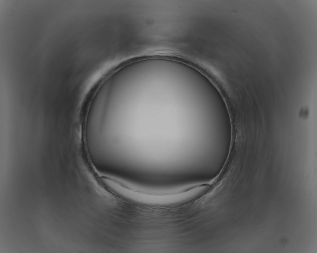X0000091981414200710041100