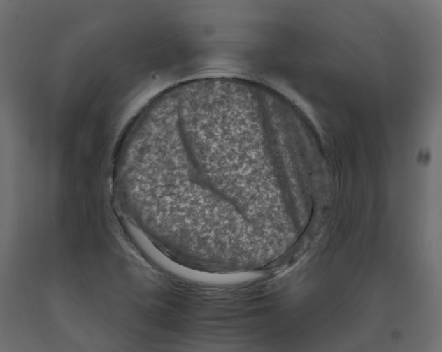 X0000091981415200710041100