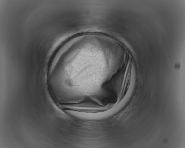 X0000091981416200710041100