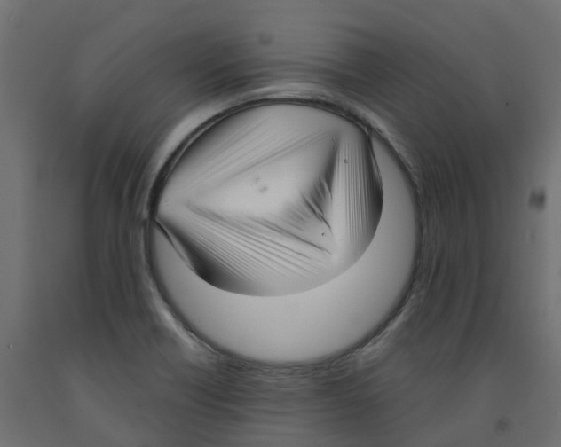 X0000091981418200710041100
