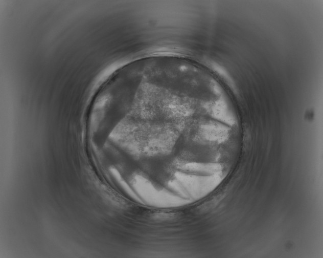 X0000091981419200710041100