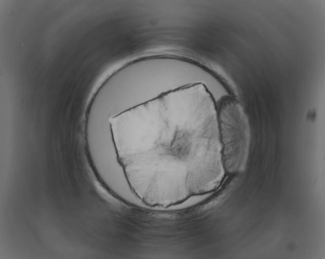 X0000091981421200710041100