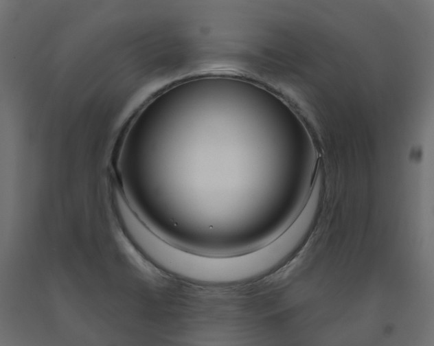 X0000091981422200710041100