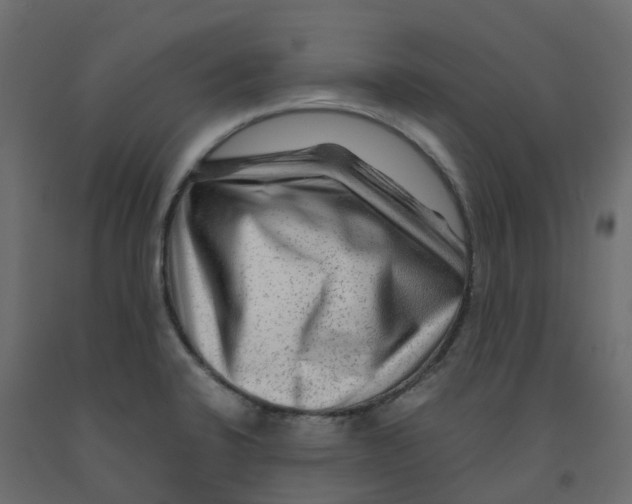 X0000091981424200710041100