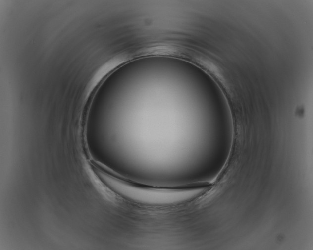 X0000091981426200710041100