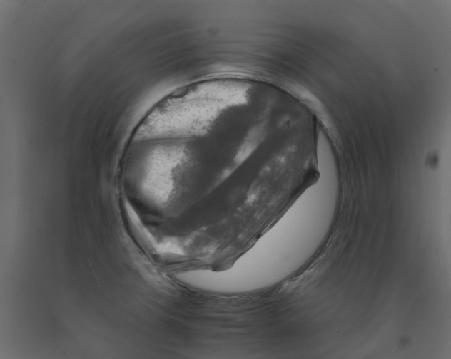 X0000091981427200710041100