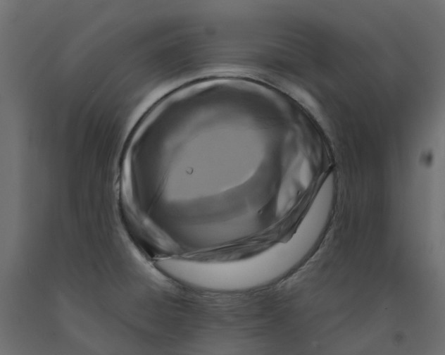 X0000091981428200710041100